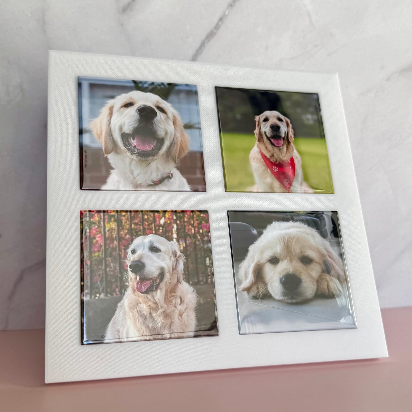 Magnet Frame with 4 Custom Magnets