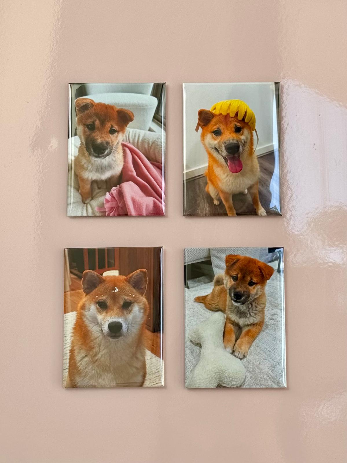 Rectangle Photo Magnets