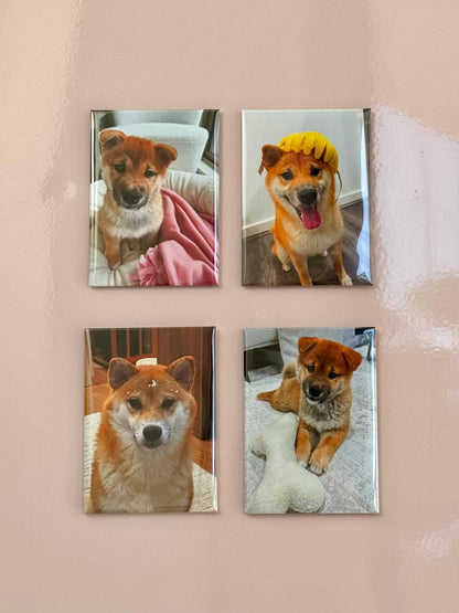 Rectangle Photo Magnets