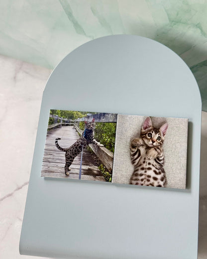Square Photo Magnets