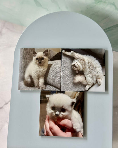 Square Photo Magnets